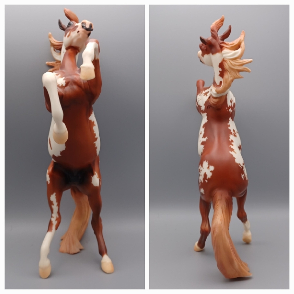 Breyer Hidalgo - Picture 11 of 16